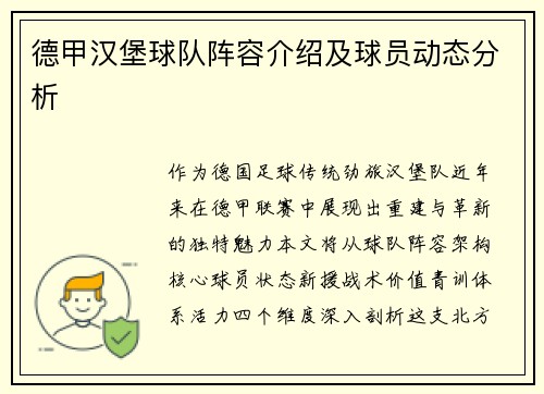 德甲汉堡球队阵容介绍及球员动态分析